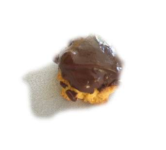 Chocolate Dipped Macaroons